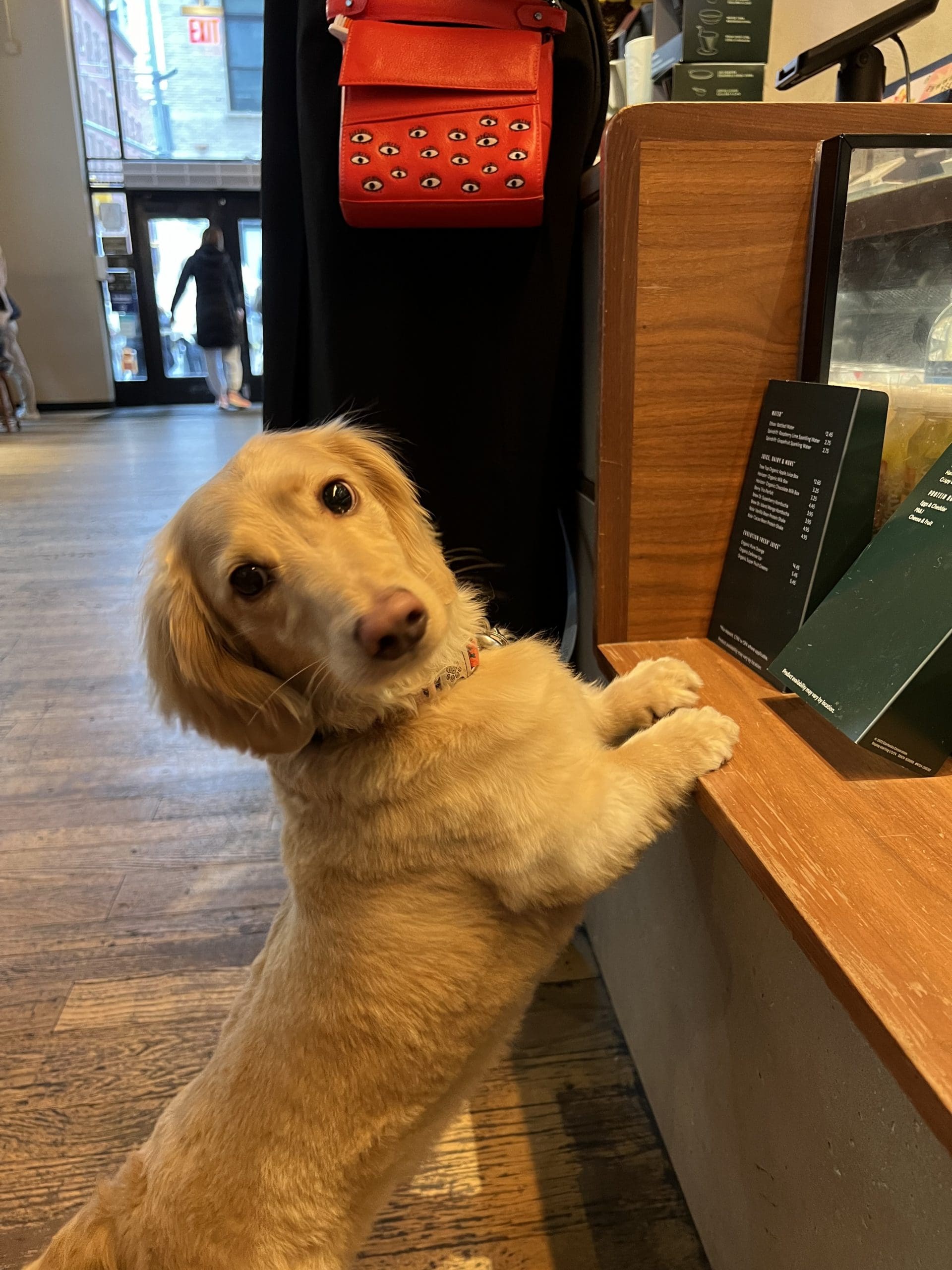 CJ Murphy is running the NYC Marathon